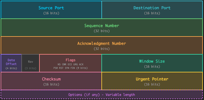 TCP Header